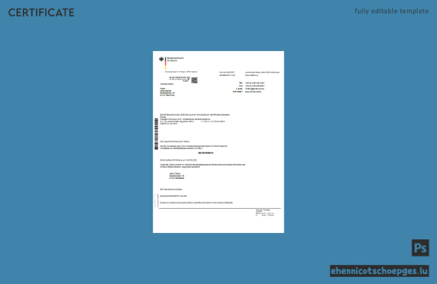 Deutsches Bundeszentralamt für Steuem Zertifikat Word- und PDF-Beispielvorschau